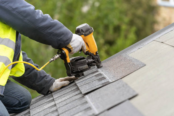 Best Asphalt Shingle Roofing  in Calico Rock, AR