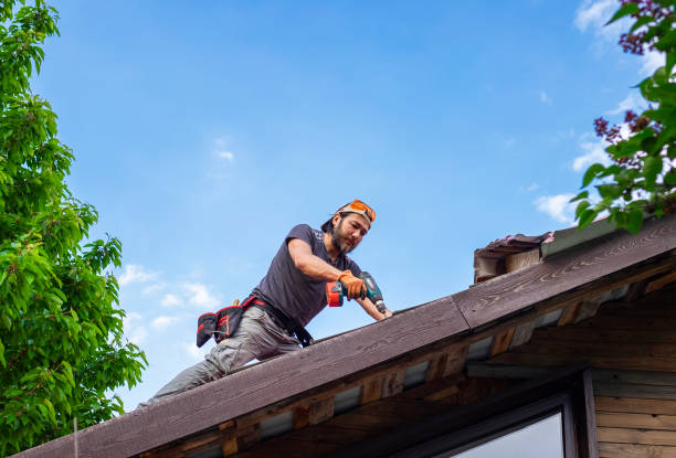 Best Steel Roofing  in Calico Rock, AR